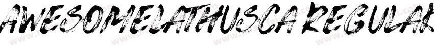AwesomeLathusca Regular字体转换